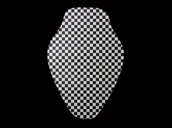 Black & White Checker
